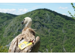 土耳其空運價格