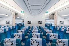 川航熊貓彩繪A350飛機首飛伊斯坦布爾-中東國際國際快遞