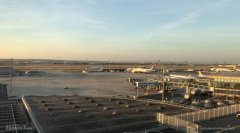 巴黎機(jī)場(chǎng)頻發(fā)“失貓案” 失主怒告機(jī)場(chǎng)和航司-烏克蘭航空