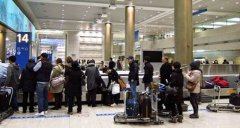 去機場坐飛機你最擔心什么？調查顯示為取行李-空運價格