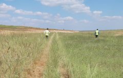 上海貨運貨代公司-視頻：驚險！印度一客機降落時偏出跑道進入草地