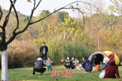 海運價格-未來三天武漢單曲循環“小晴歌”，出游正當時