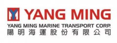 土耳其的空運-剛剛！陽明海運宣布成立中國區子公司，2020年1月1日起正式營運
