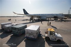 科倫坡海運(yùn)費(fèi)國(guó)航包機(jī)運(yùn)送山東省聯(lián)合工作組飛赴倫敦
