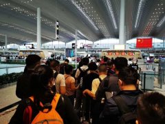 商務客流帶動航空強勁反彈 京滬線近兩周增速均超50%