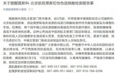 中國駐俄使館：回國乘客切勿偽造核酸檢測報告