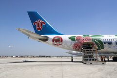 助力全國復(fù)工復(fù)產(chǎn)復(fù)學(xué) 南航6月新開一批國內(nèi)航線