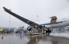 逾2000頭丹麥種豬搭乘南航貨機“移民”貴州（附圖）