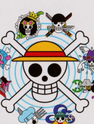 各市場主體之間競爭越發激烈
-空運價格表