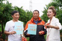 申通董事長(zhǎng)陳德軍親赴湖北田間地頭，助力農(nóng)產(chǎn)品上行
-深圳出口空運(yùn)