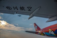 旅客可通過川航官方網站、APP、微信公眾號、官方服務熱線95378及直屬柜臺購買