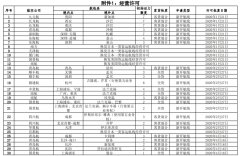  附件2.國內(nèi)公司國際航線加班包機(jī)批復(fù).pdf 附件3.境外公司國際航線加班包機(jī)批