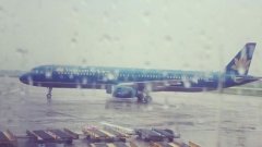 該名維修人員立即被送往醫(yī)院搶救
-卡塔赫納海運(yùn)費(fèi)