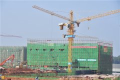  中建五局三公司中南分公司項目經理羅榮德介紹
-整柜出口