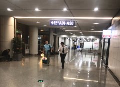 為生命接力 川航重慶分公司空、地搭建綠色通道（附圖）
-沙特阿拉伯的國際快