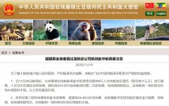 埃塞航加強對赴華航班防疫措施 中使館提醒乘客充分評估滯留風
-整柜出口