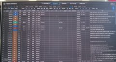 瑞麗航空順利完成中國民航流量管理系統的接入
-空運到智利