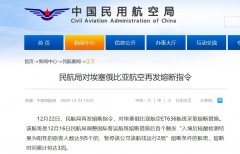 根據《民航局關于調整國際客運航班熔斷措施的通知》
-海運到南美