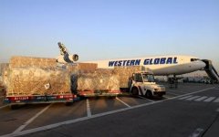 5-9個工作日到達美國全境
-國際物流