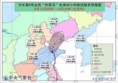 “利奇馬”已致651萬人受災這些地方仍要嚴陣以待-上?？者\