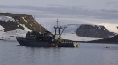 海象護崽“撞沉”俄海軍船只-上?？者\